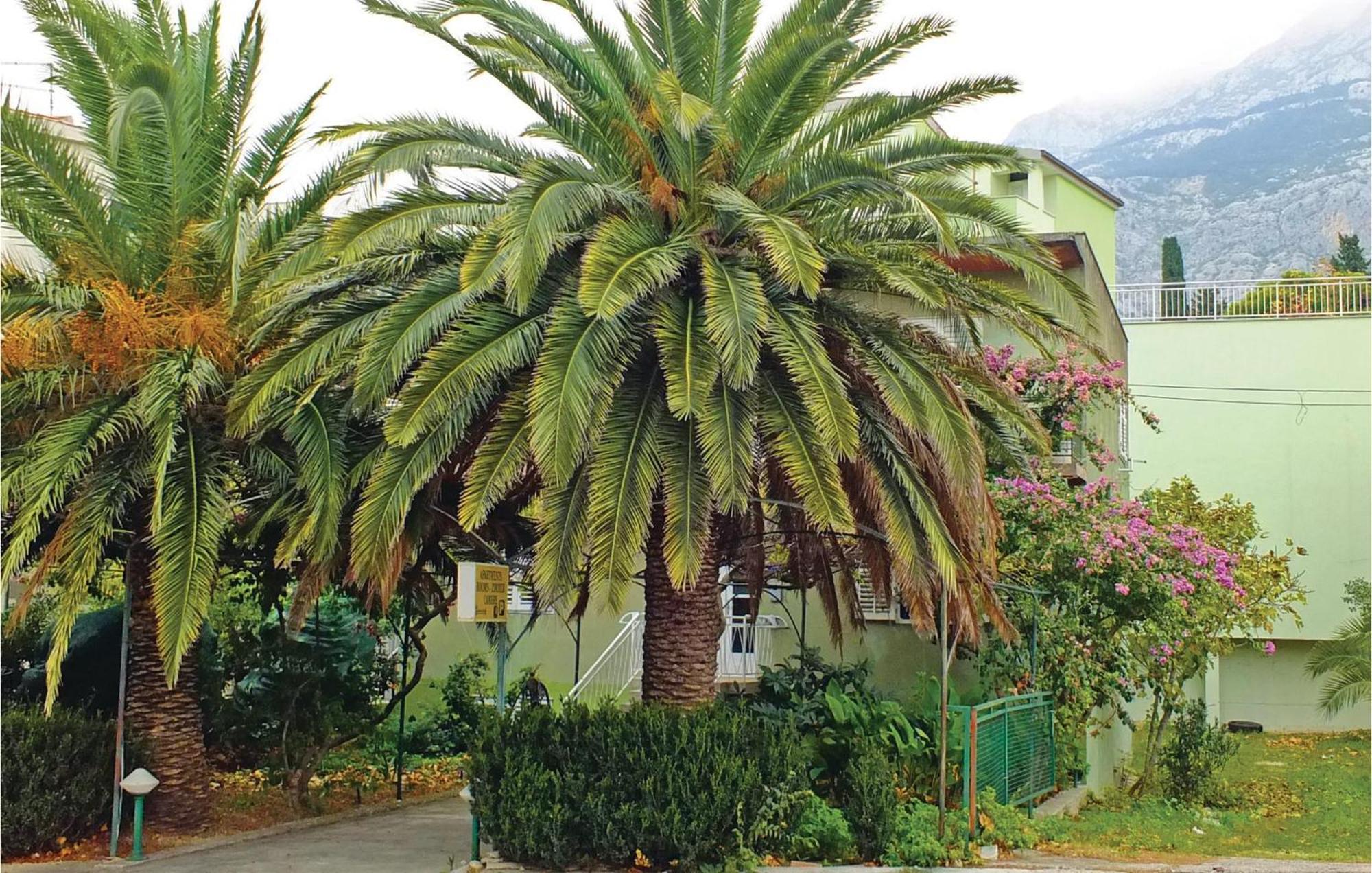 Lovely Apartment In Makarska With Wifi Екстер'єр фото